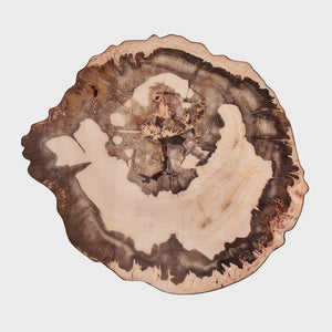 Petrified Wood Placemat